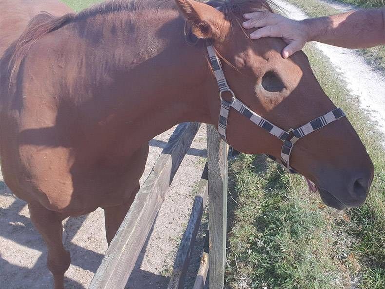 Gewoon een verzameling hilarische foto's #1190