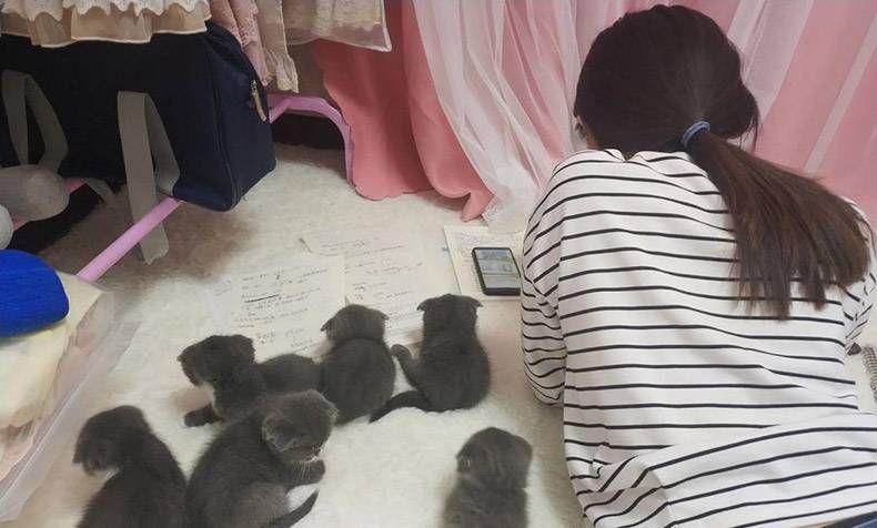 Gewoon een verzameling hilarische foto's #1159