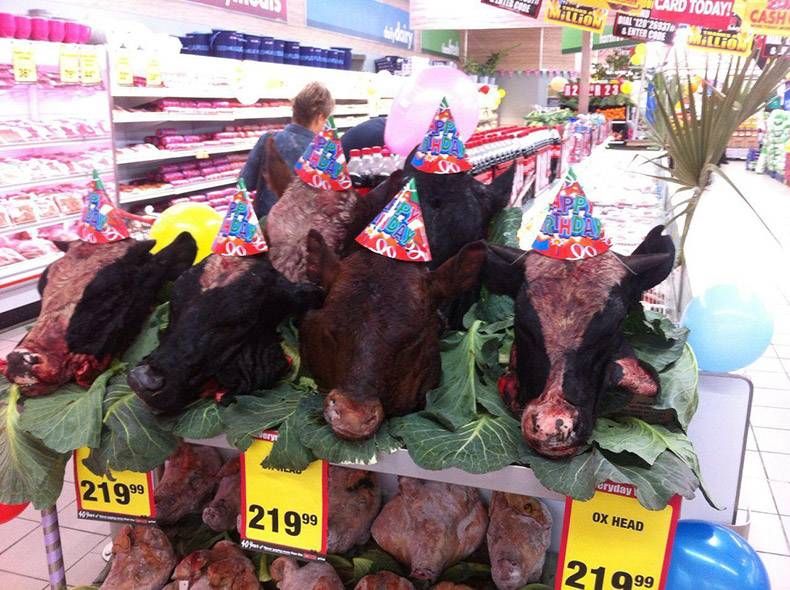 Gewoon een verzameling hilarische foto’s #858