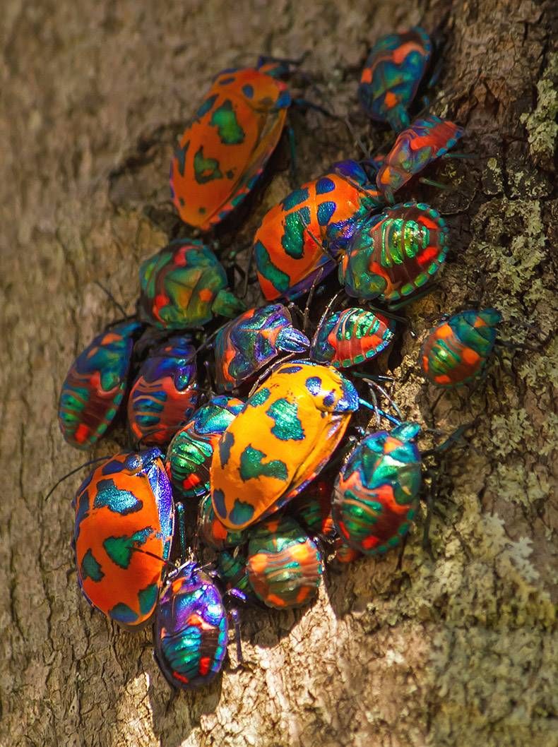 Gewoon een verzameling hilarische foto's #762