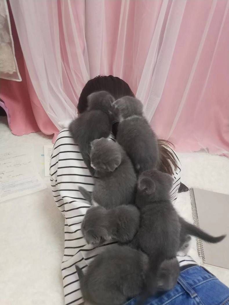 Gewoon een verzameling hilarische foto's #1159