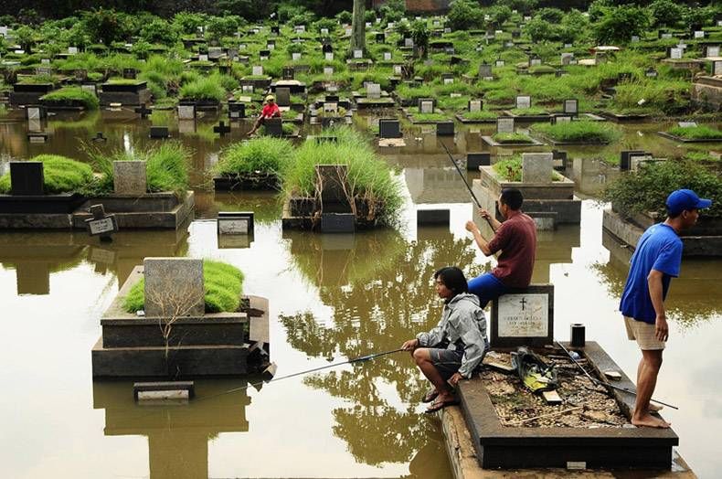 Gewoon een verzameling hilarische foto's #893