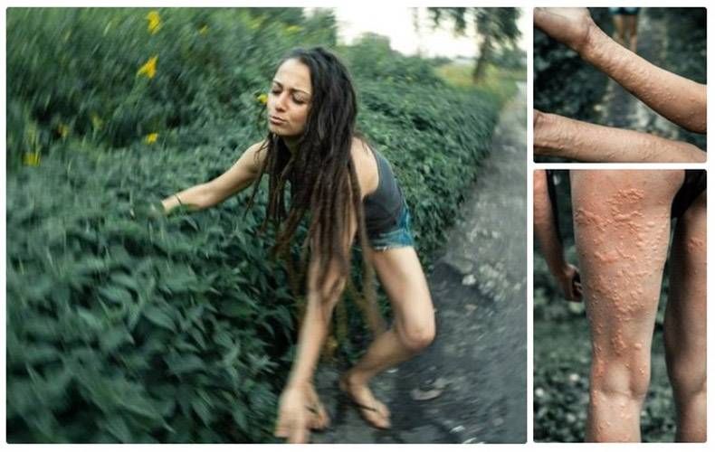 Gewoon een verzameling hilarische foto's #863