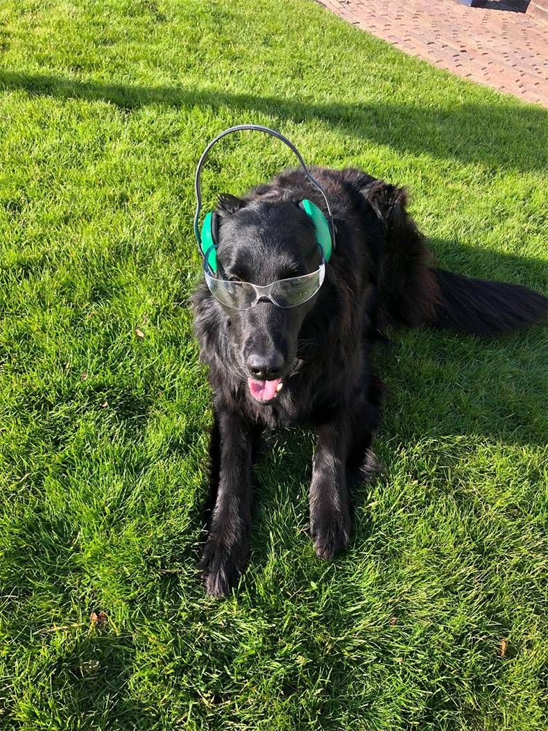 Gewoon een verzameling hilarische foto's #1127