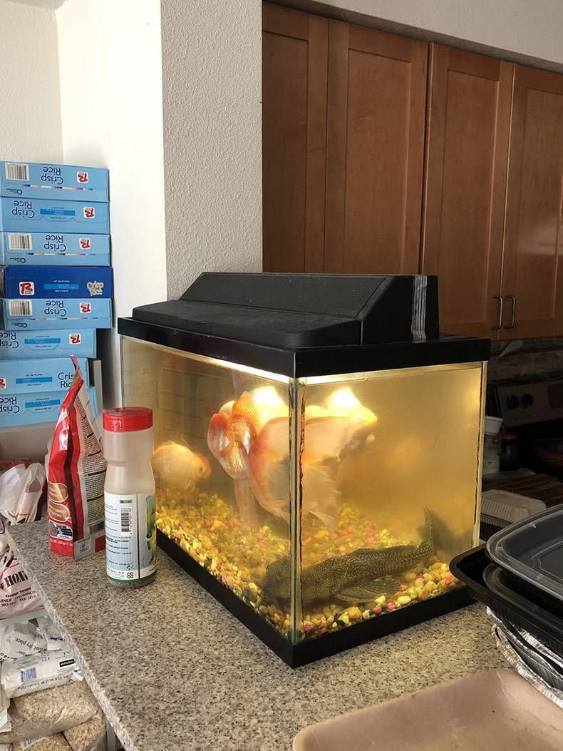 Gewoon een verzameling hilarische foto's #1024