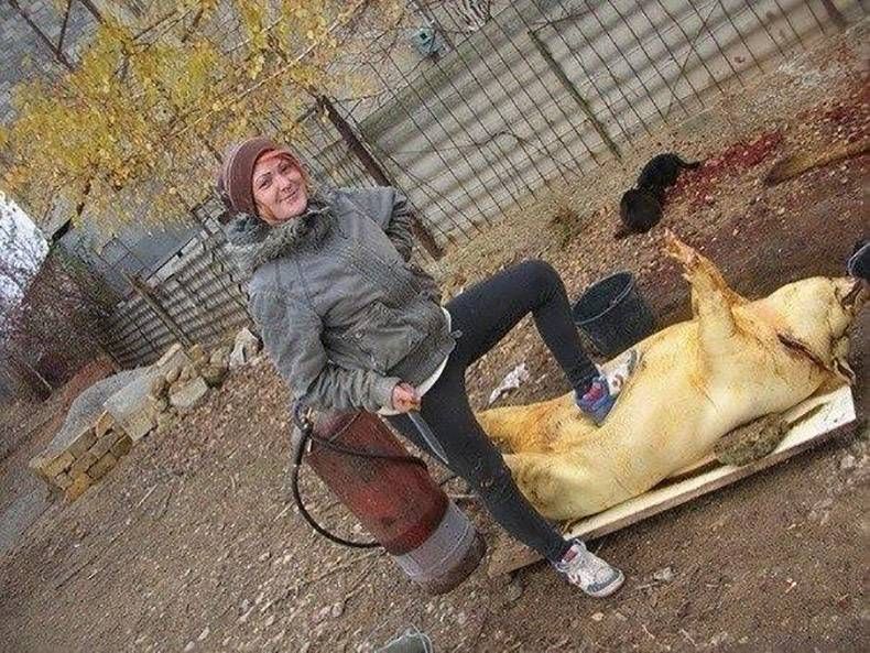 Gewoon een verzameling hilarische foto's #828