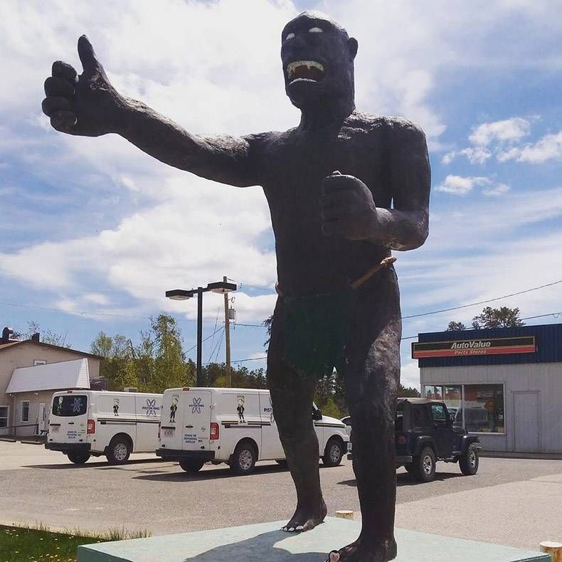 Gewoon een verzameling hilarische foto's #825