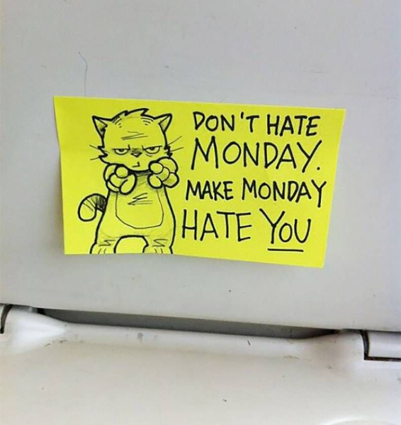 Gewoon een verzameling hilarische foto's #782