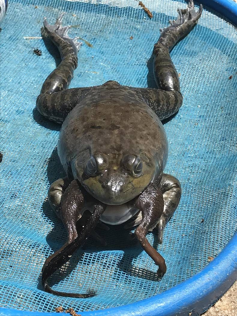 Gewoon een verzameling hilarische foto's #863