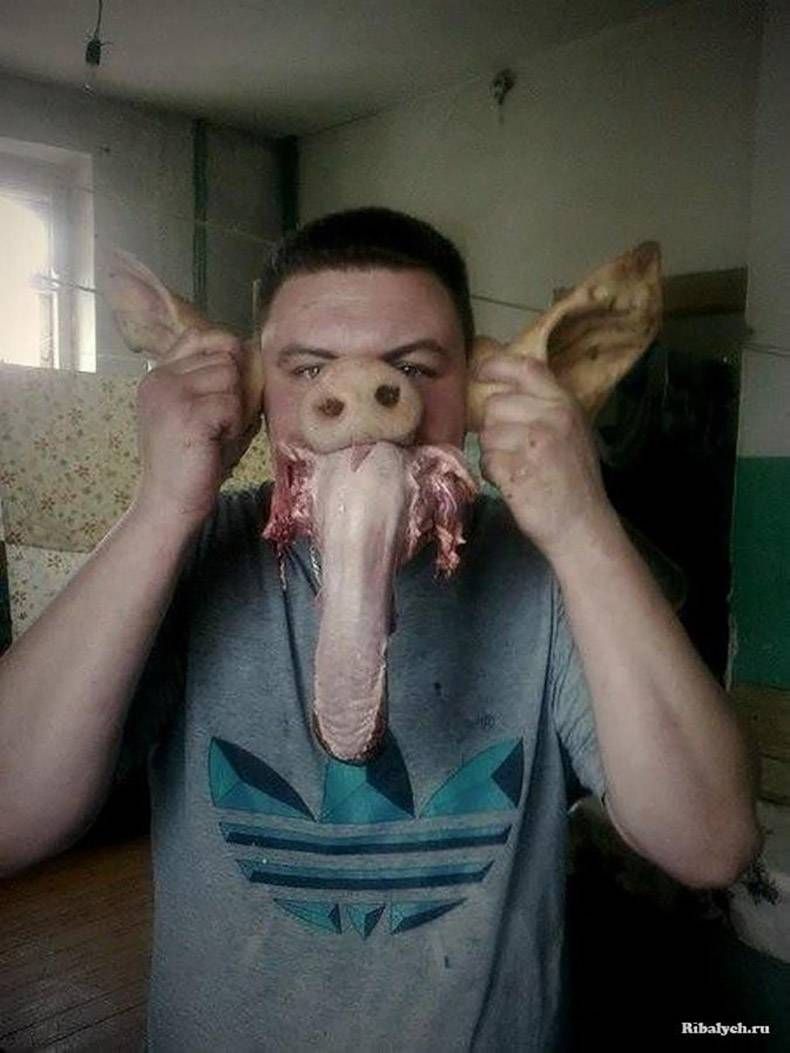 Gewoon een verzameling hilarische foto's #828