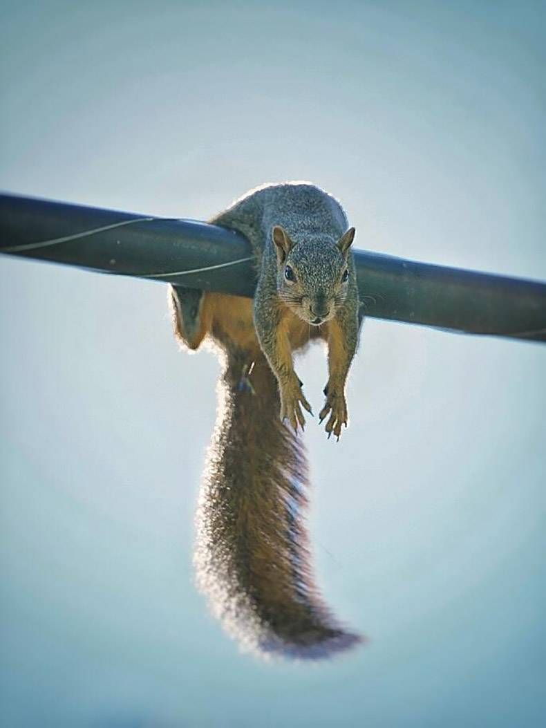 Gewoon een verzameling hilarische foto's #893