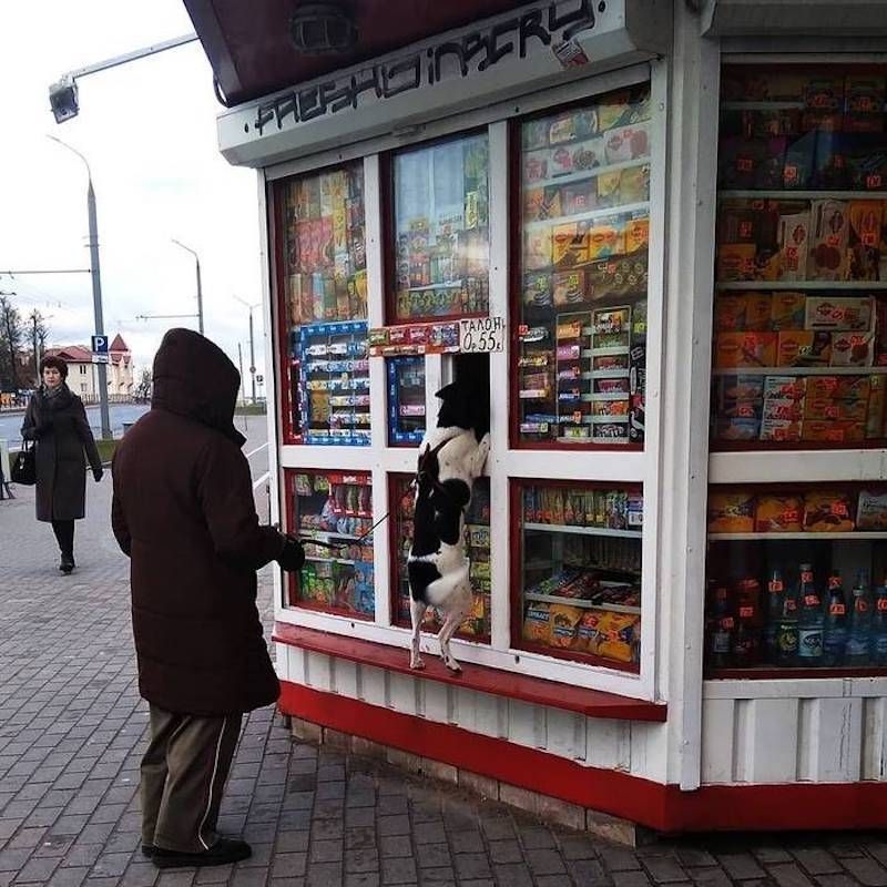 Gewoon een verzameling hilarische foto’s #1107