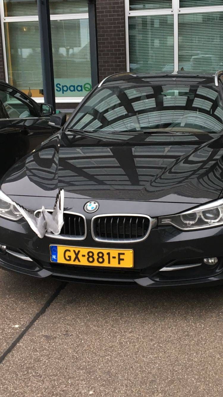 Gewoon een verzameling hilarische foto's #741