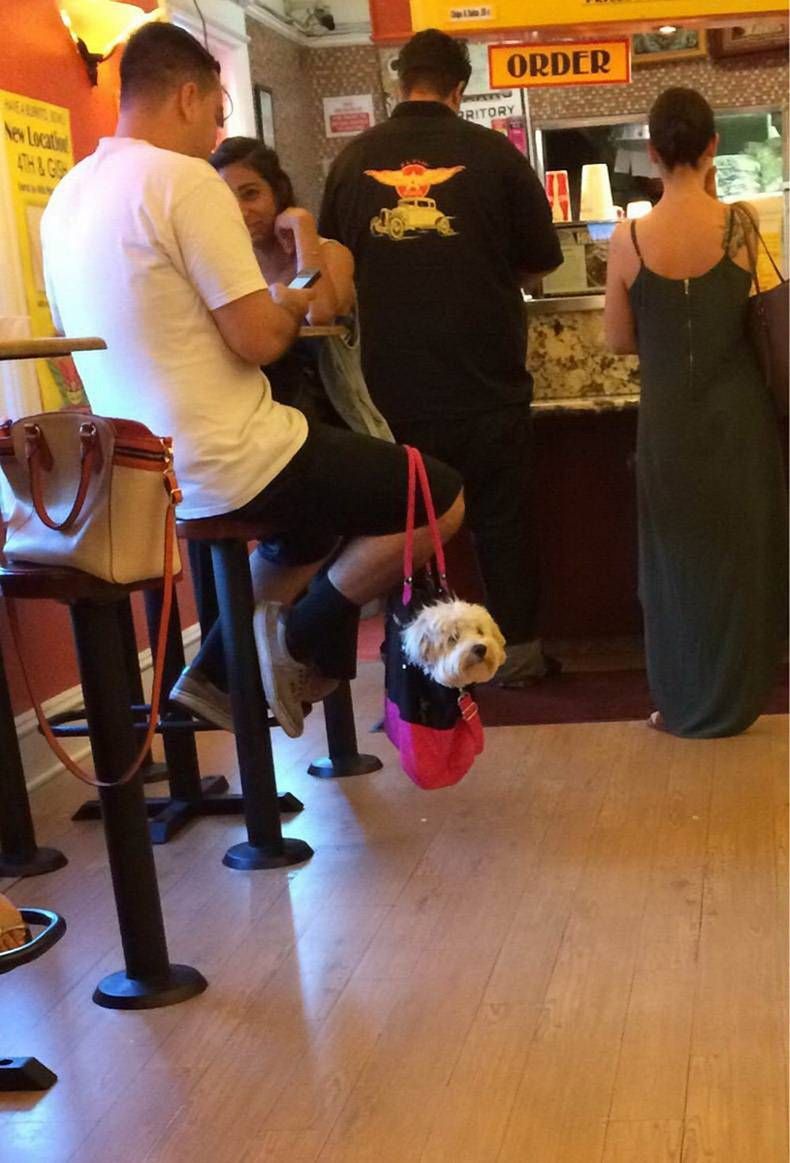 Gewoon een verzameling hilarische foto's #1152