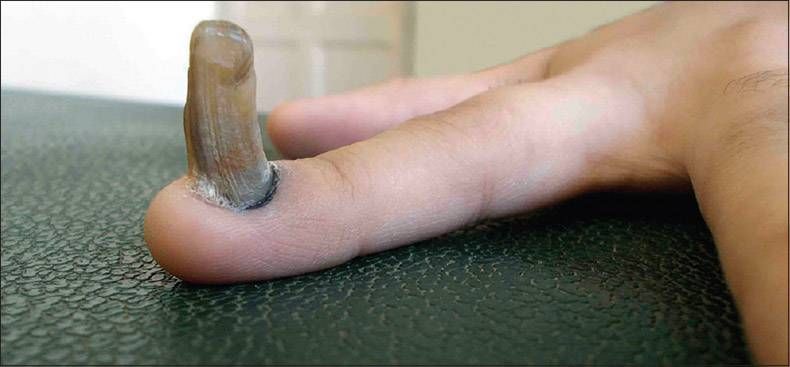 Gewoon een verzameling hilarische foto's #829