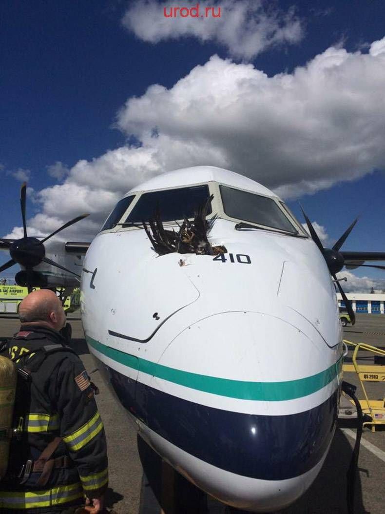 Gewoon een verzameling hilarische foto's #825