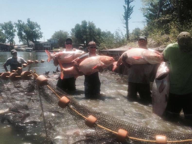 Gewoon een verzameling hilarische foto's #772