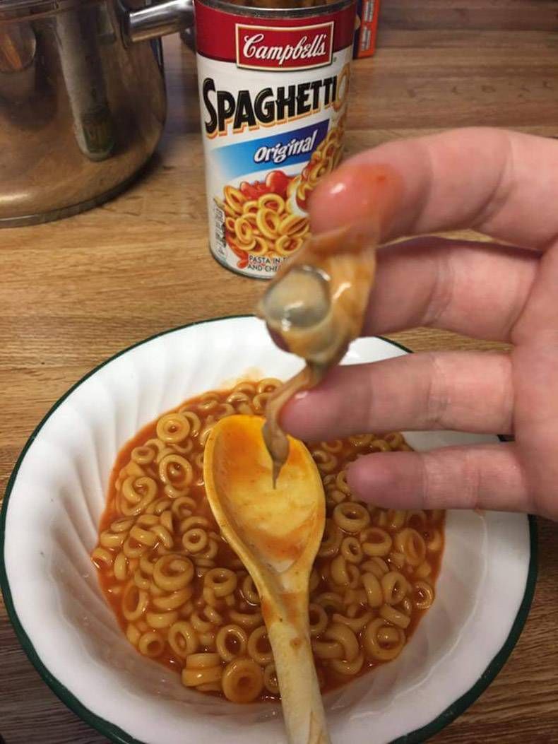 Gewoon een verzameling hilarische foto's #759