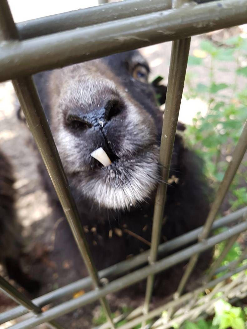 Gewoon een verzameling hilarische foto's #874