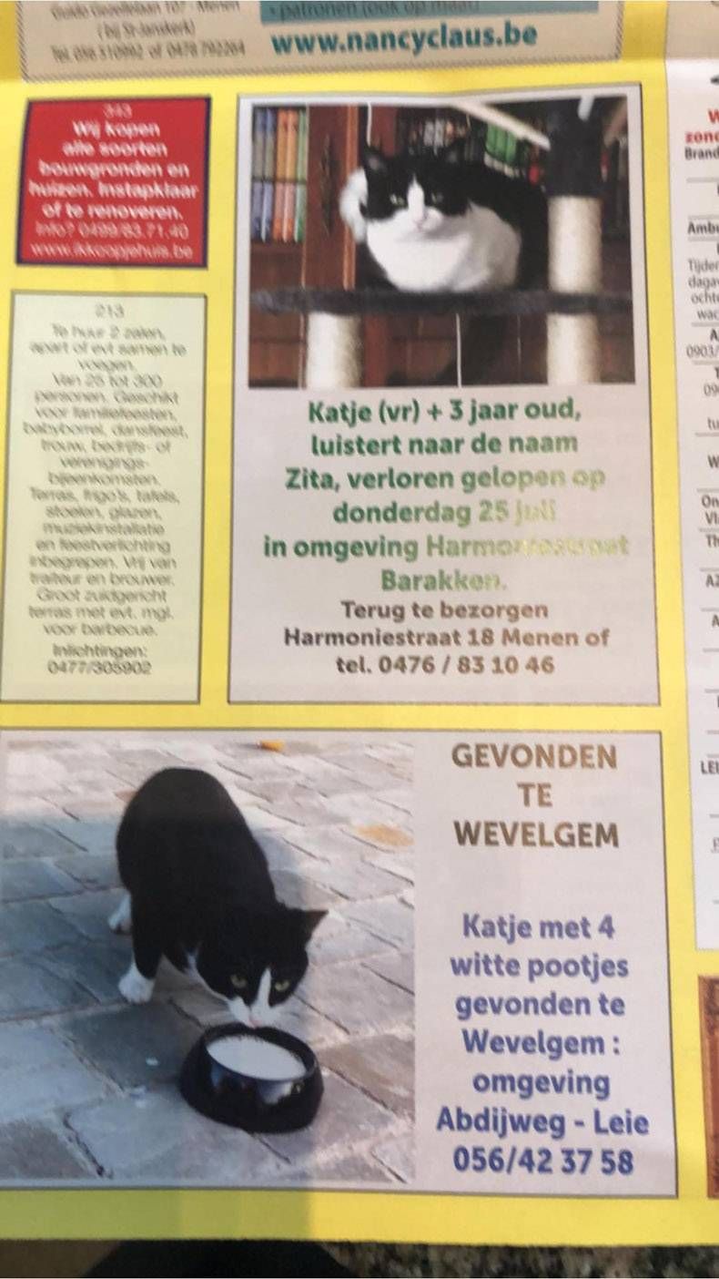 Gewoon een verzameling hilarische foto's #1173