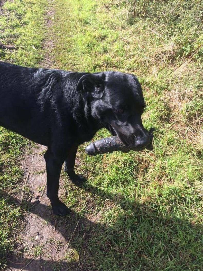 Gewoon een verzameling hilarische foto's #871