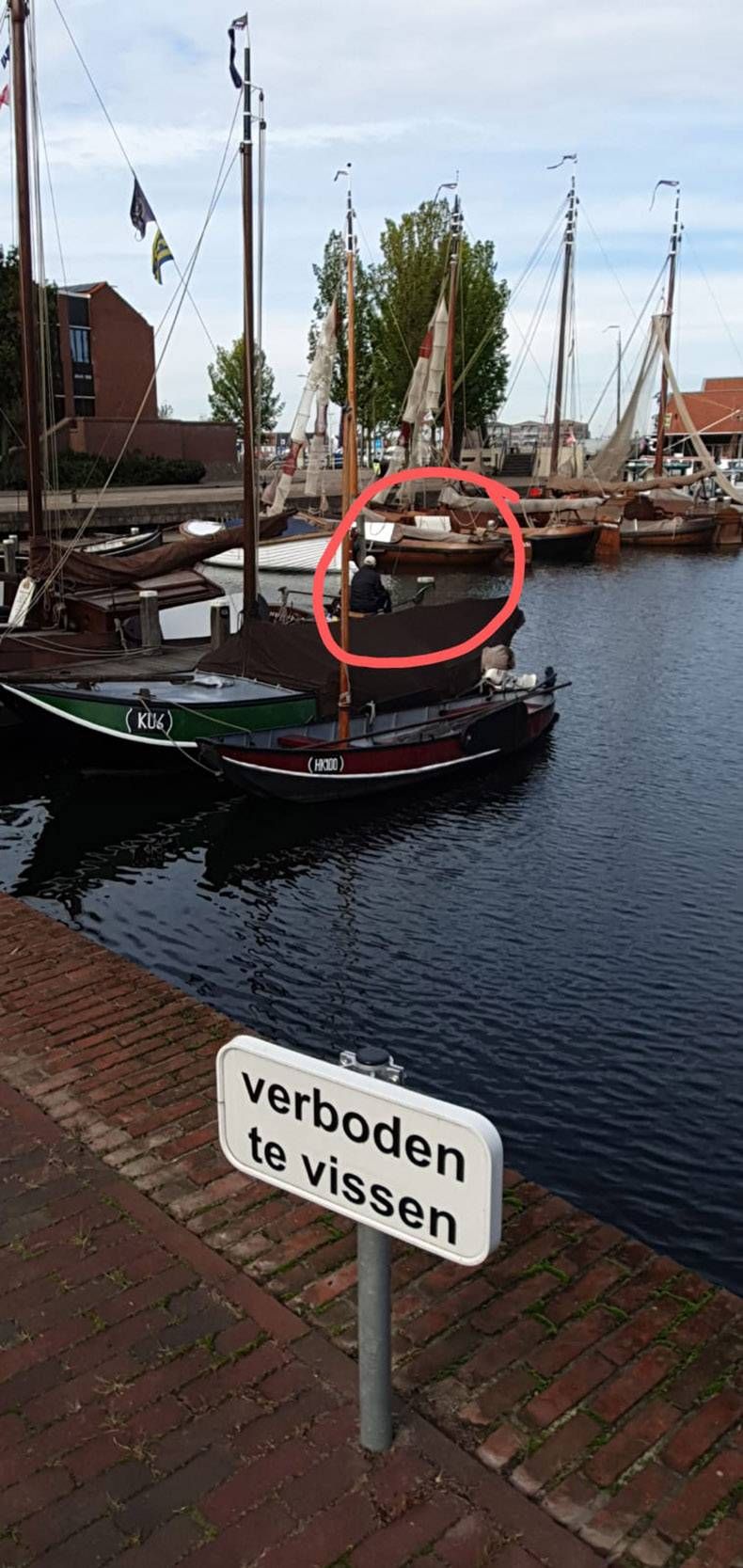 Gewoon een verzameling hilarische foto's #1345