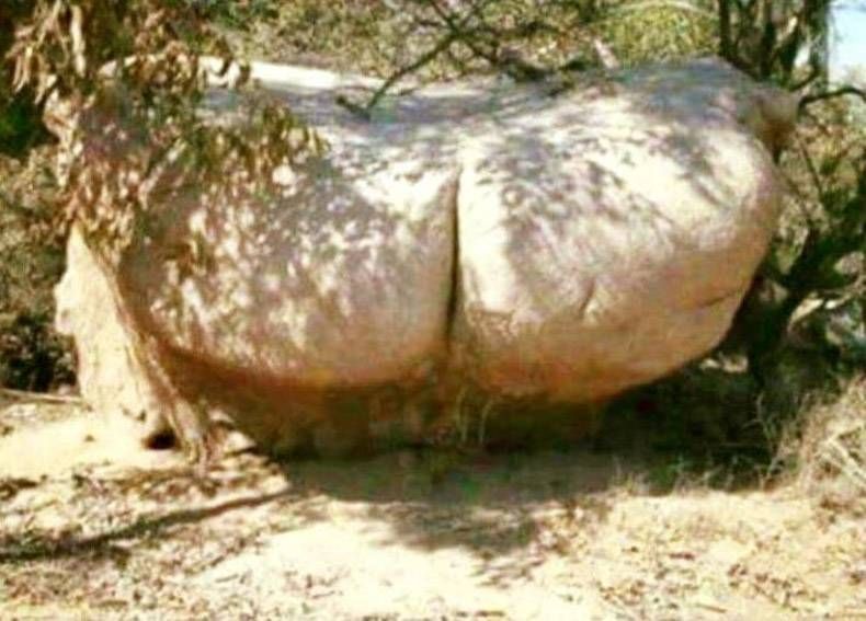 Gewoon een verzameling hilarische foto's #992