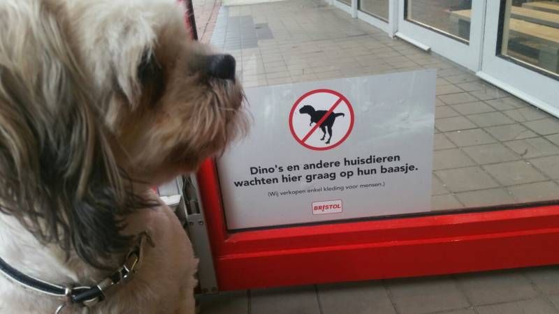 Gewoon een verzameling hilarische foto's #741