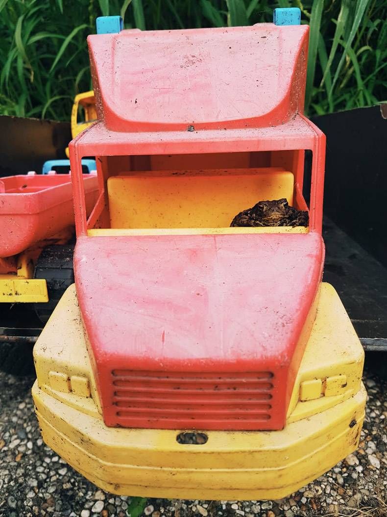 Gewoon een verzameling hilarische foto's #1178