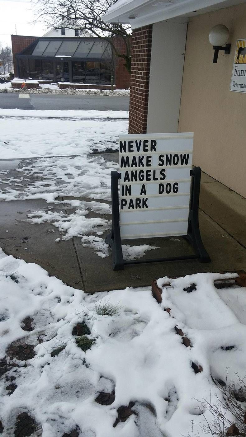 Gewoon een verzameling hilarische foto's #1077