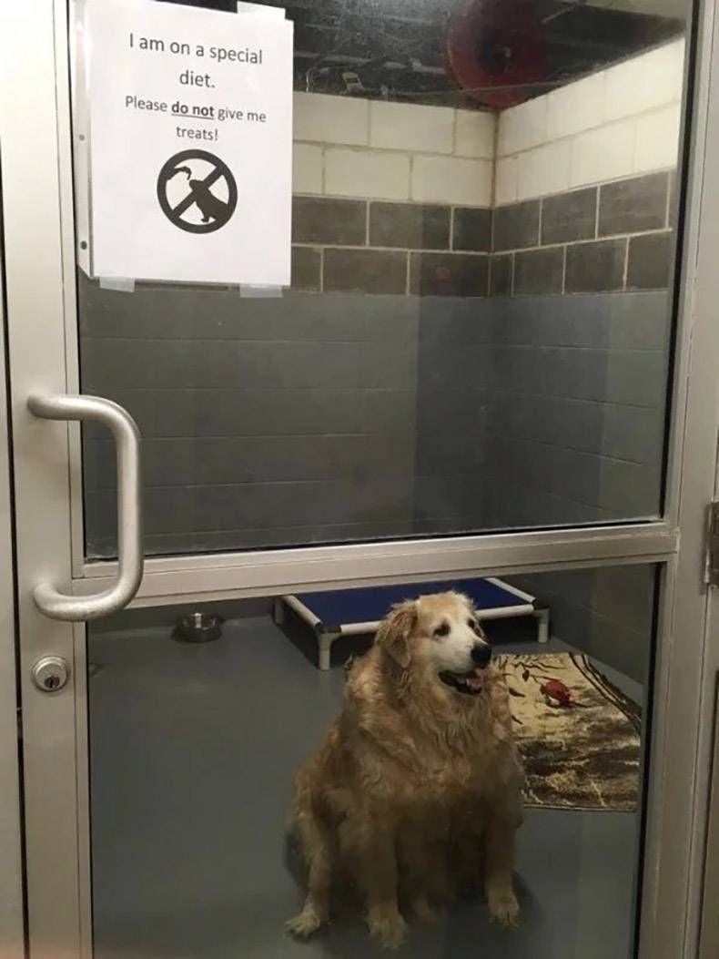 Gewoon een verzameling hilarische foto's #1127