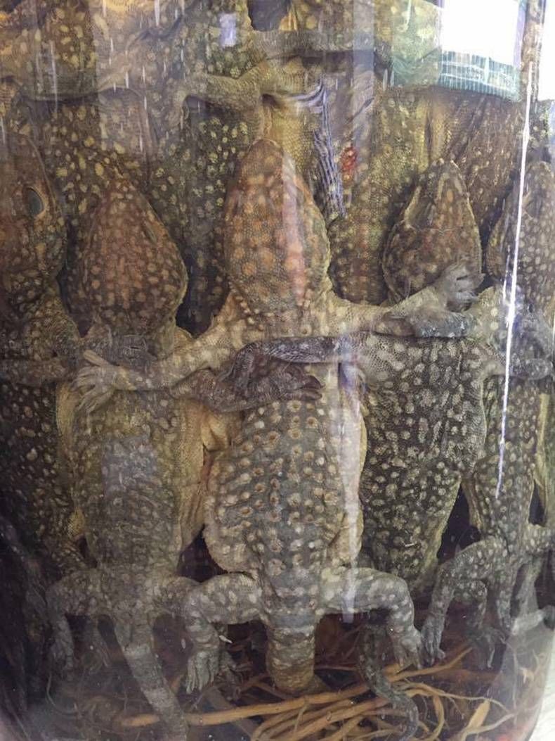 Gewoon een verzameling hilarische foto's #721