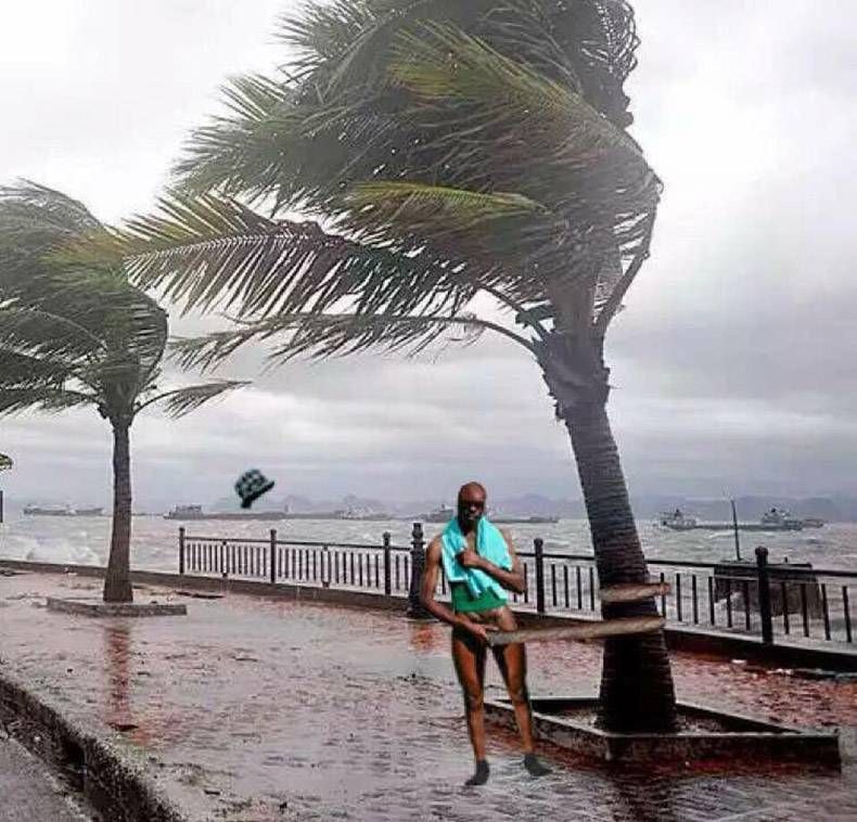 Gewoon een verzameling hilarische foto's #1244