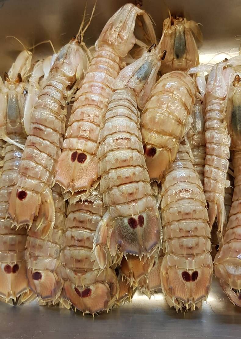 Gewoon een verzameling hilarische foto's #1178