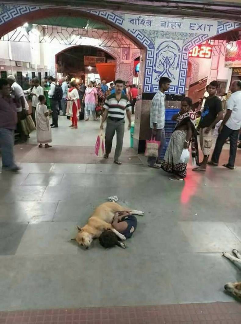 Gewoon een verzameling hilarische foto's #871