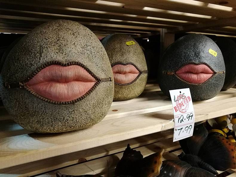 Gewoon een verzameling hilarische foto's #852