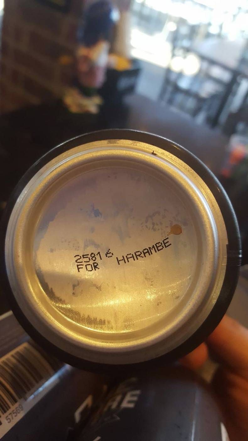 Gewoon een verzameling hilarische foto's #714