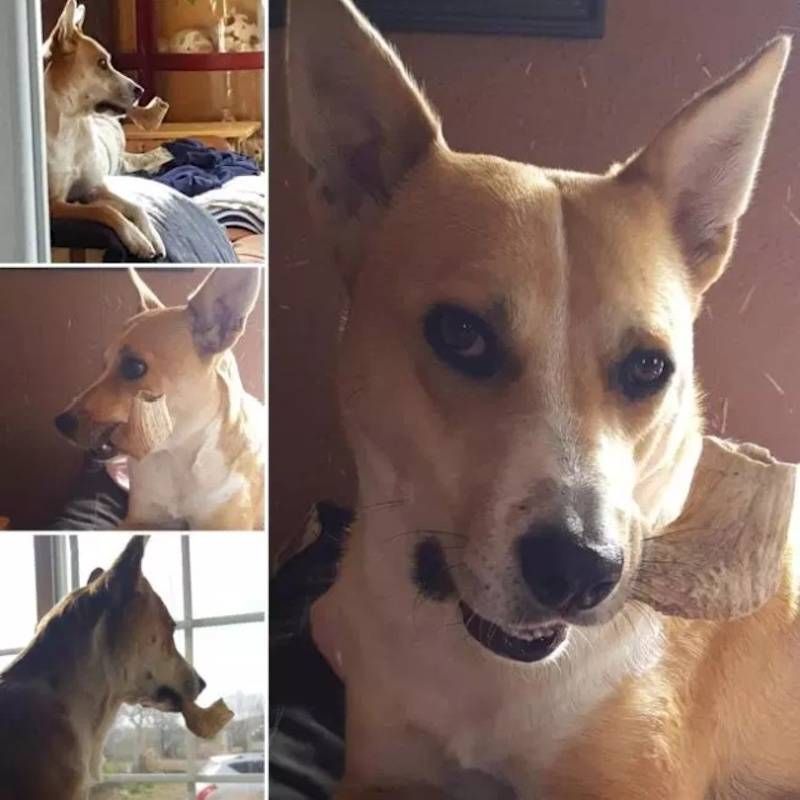 Gewoon een verzameling hilarische foto’s #1107