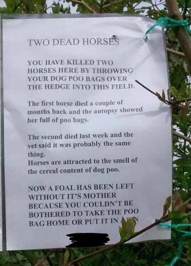 Gewoon een verzameling hilarische foto's #1205