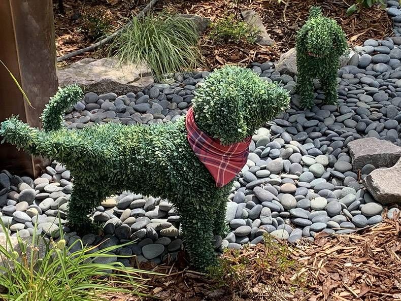 Gewoon een verzameling hilarische foto's #1152