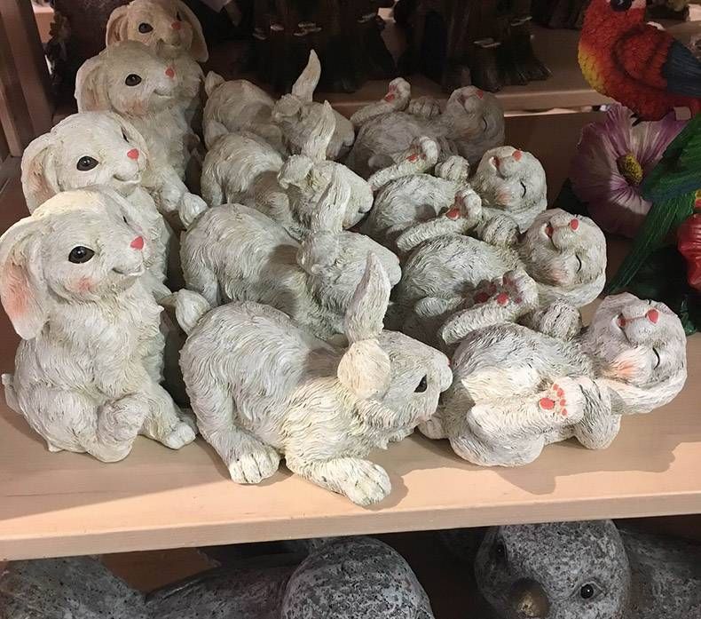 Gewoon een verzameling hilarische foto's #1089