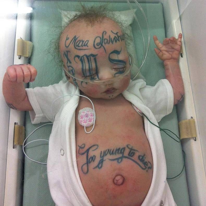 Gewoon een verzameling hilarische foto's #874