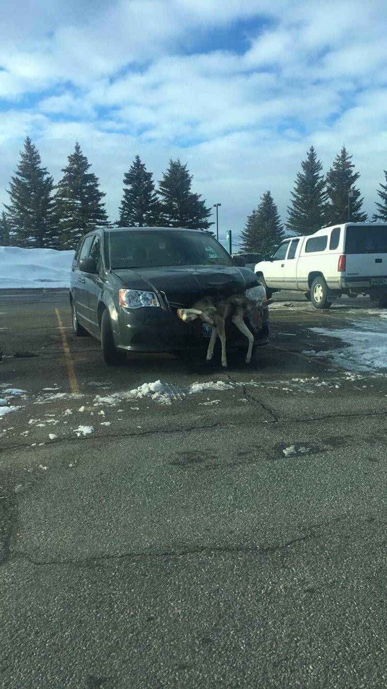 Gewoon een verzameling hilarische foto’s #847