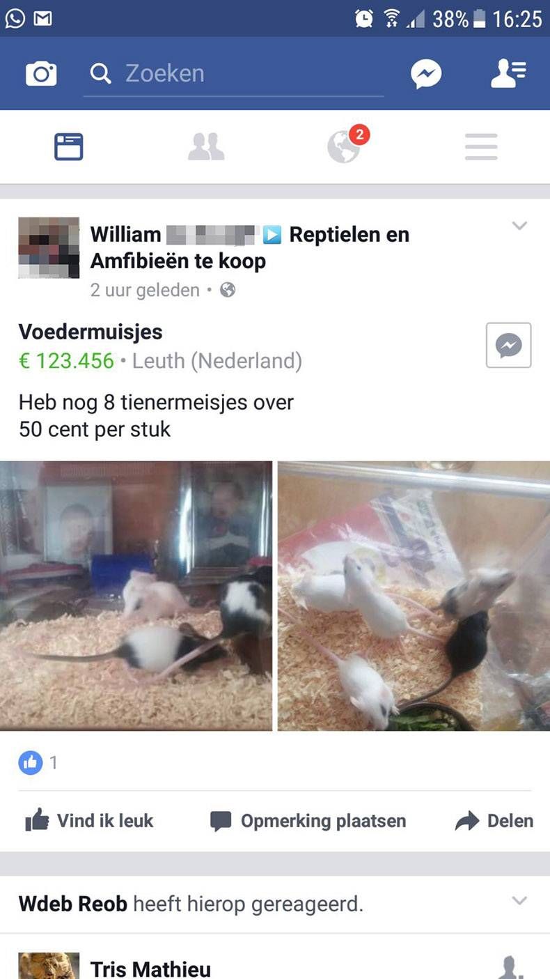 Gewoon een verzameling hilarische foto's #823