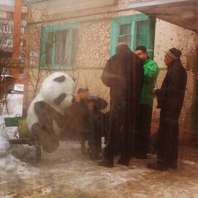 Gewoon een verzameling hilarische foto's #782