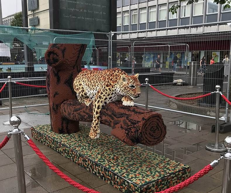 Gewoon een verzameling hilarische foto's #1159