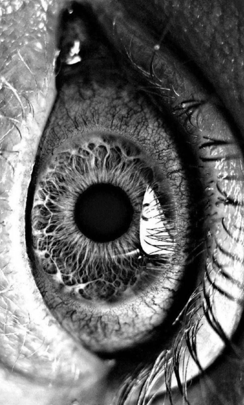 Gewoon een verzameling hilarische foto's #747