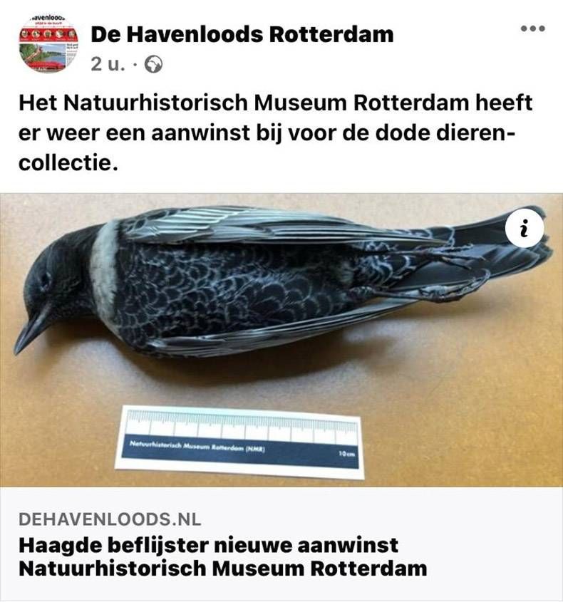 Gewoon een verzameling hilarische foto's #1345