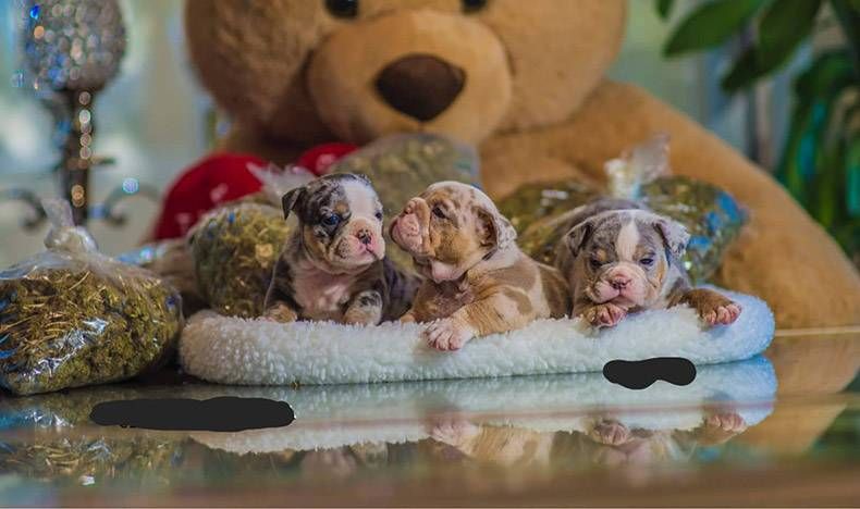 Gewoon een verzameling hilarische foto’s #921