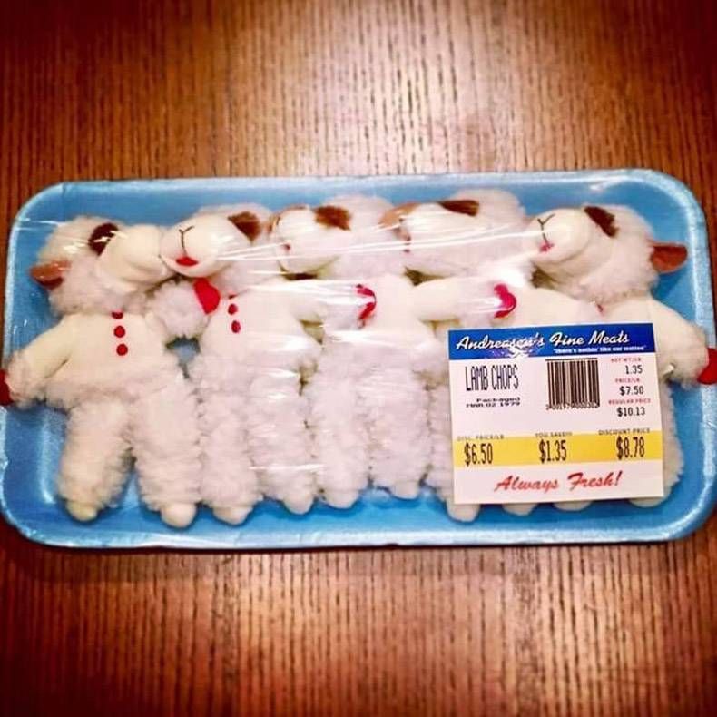Gewoon een verzameling hilarische foto's #1251